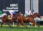 Jockeys on racing horses sprint along the turf at Caulfield Racecourse, with a dark branding wall in the background.