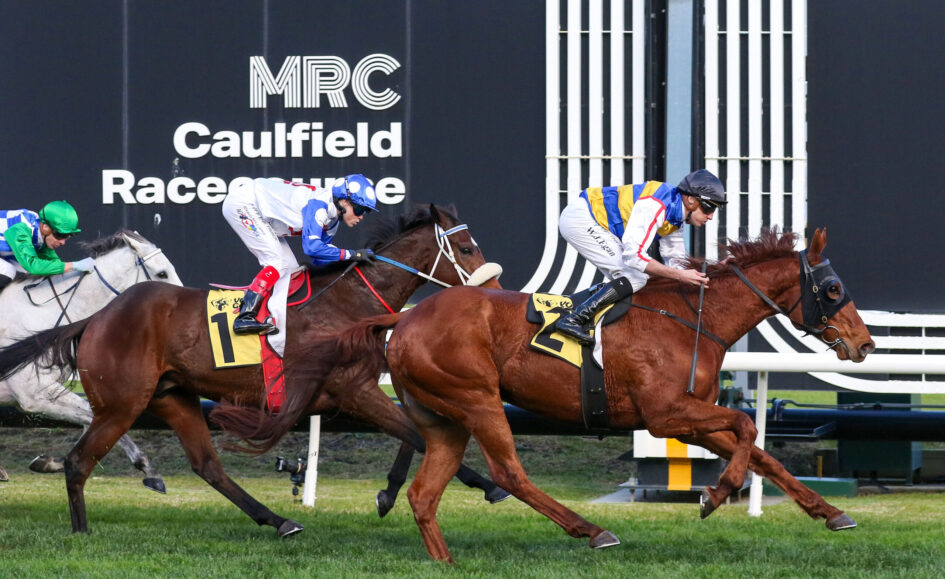 Jockeys on racing horses sprint along the turf at Caulfield Racecourse, with a dark branding wall in the background.