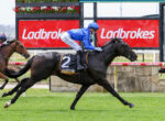 Jockey in blue silks riding a dark horse with number 2, charging down a grass track with red Ladbrokes signs in the background.