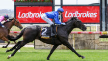 Jockey in blue silks riding a dark horse with number 2, charging down a grass track with red Ladbrokes signs in the background.