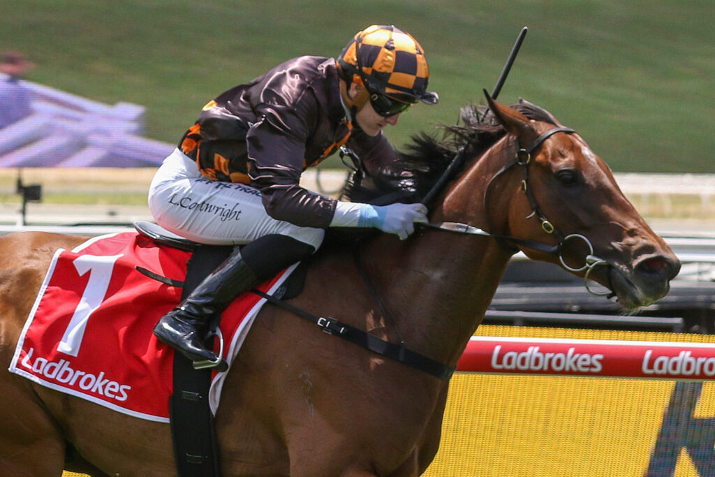 Jockey in black and orange gear on a brown horse jumping a hurdle; red saddle cloth with Ladbrokes branding.