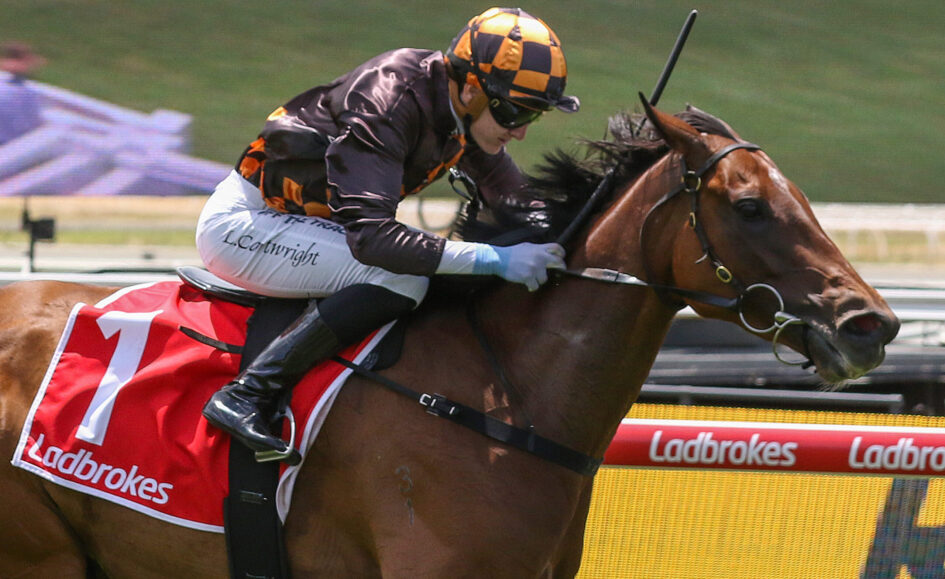Jockey in black and orange gear on a brown horse jumping a hurdle; red saddle cloth with Ladbrokes branding.