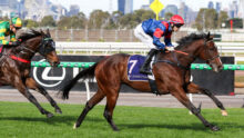 Two jockeys ride racehorses at speed on a green turf track, with a city skyline in the background.