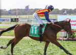 Jockey in red-and-yellow striped silks riding a galloping chestnut horse on a racetrack, green number cloth visible under saddle gearl.