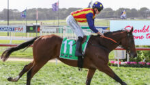 Jockey in red-and-yellow striped silks riding a galloping chestnut horse on a racetrack, green number cloth visible under saddle gearl.