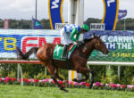 Jockey in a green helmet and blue-checkered silks rides a brown horse along a racetrack, with colorful banners and pink flowers in the foreground edge.