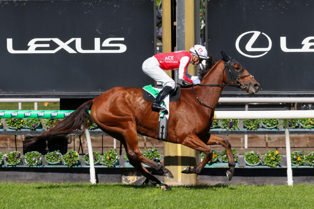 Horse and jockey in red-and-white silks sprinting over a hurdle during a race, Lexus banners in the background, green grass and flowers along the rail.