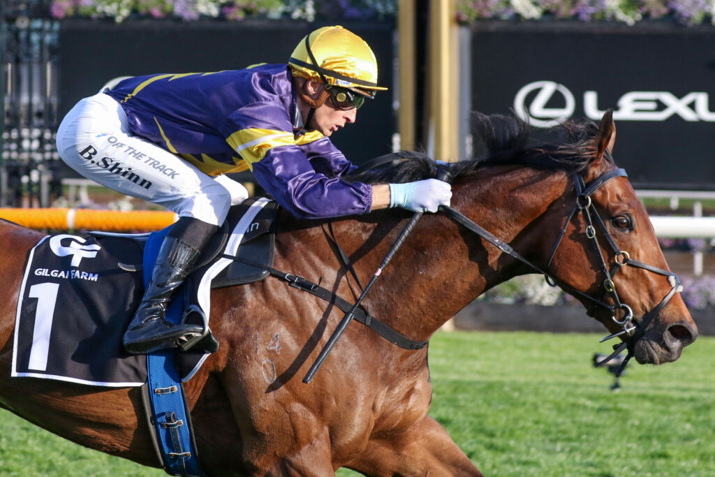 Jockey in purple and gold silks rides a brown horse during a race, leaning forward.