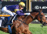 Jockey in purple and gold silks rides a brown horse during a race, leaning forward.