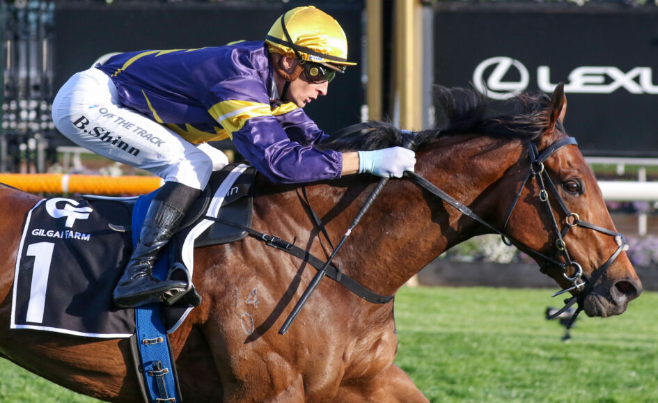 Jockey in purple and gold silks rides a brown horse during a race, leaning forward.