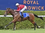 Jockey in red and white silks rides a brown racehorse with blue saddlecloth on a turf track, rail and hedge in background, Royal Randwick signage visible.