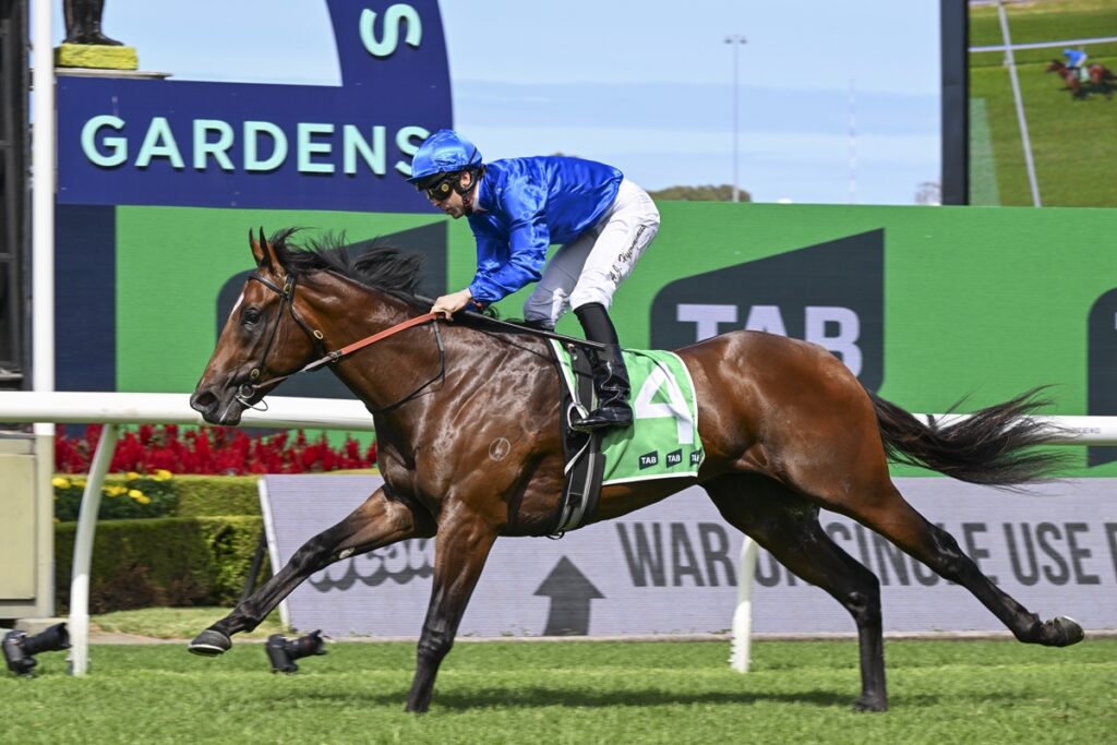 Jockey in blue silks riding a chestnut racehorse with a green number 4 saddlecloth, galloping on a turf track.