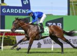 Jockey in blue silks riding a chestnut racehorse with a green number 4 saddlecloth, galloping on a turf track.