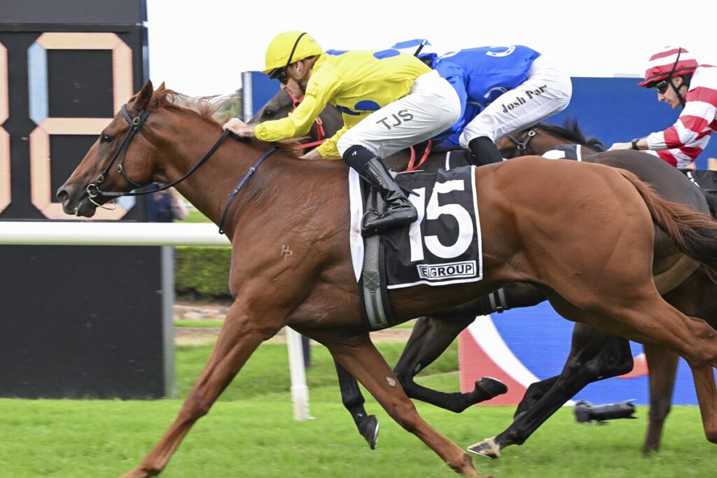 Brown racehorse with saddlecloth number 15 sprinting on a green track, yellow-clad jockey leaning forward in a race.”,