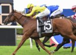 Brown racehorse with saddlecloth number 15 sprinting on a green track, yellow-clad jockey leaning forward in a race.”,