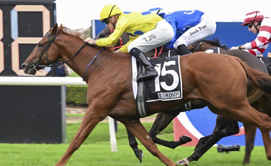Brown racehorse with saddlecloth number 15 sprinting on a green track, yellow-clad jockey leaning forward in a race.”,