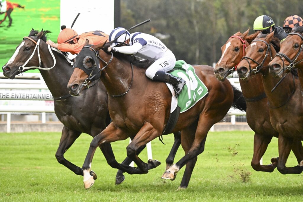 Thoroughbred racehorses sprint neck-and-neck with jockeys leaning forward on a grassy track.