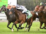 Thoroughbred racehorses sprint neck-and-neck with jockeys leaning forward on a grassy track.