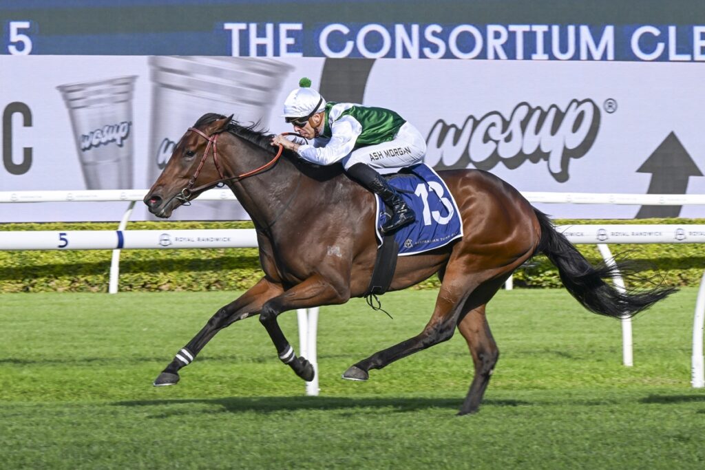 Horse racing action: a bay horse and jockey in white and green silks sprint on a grassy track, saddlecloth number 13.