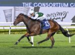 Horse racing action: a bay horse and jockey in white and green silks sprint on a grassy track, saddlecloth number 13.