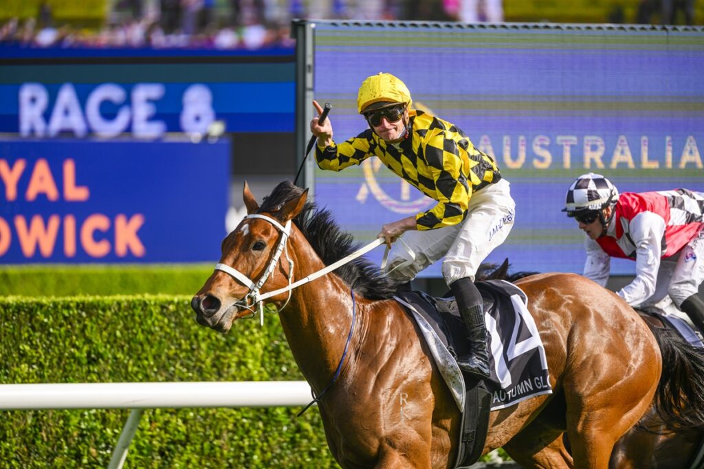 Jockey in yellow-black checkered silks rides a brown horse on a racetrack as they leap forward during a race, with blue advertising boards in the background.