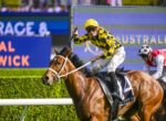 Jockey in yellow-black checkered silks rides a brown horse on a racetrack as they leap forward during a race, with blue advertising boards in the background.