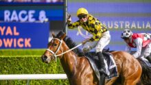 Jockey in yellow-black checkered silks rides a brown horse on a racetrack as they leap forward during a race, with blue advertising boards in the background.