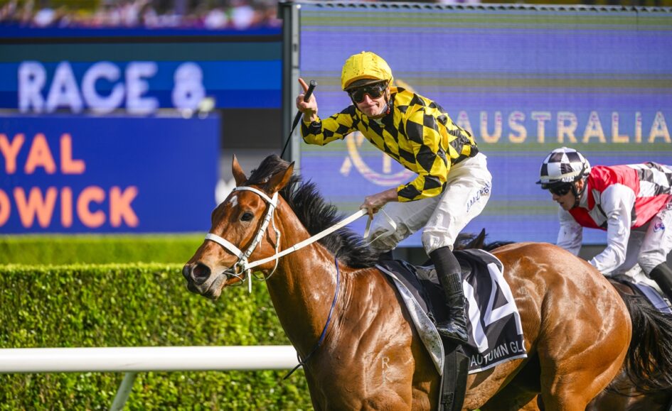 Jockey in yellow-black checkered silks rides a brown horse on a racetrack as they leap forward during a race, with blue advertising boards in the background.