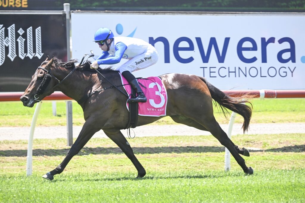 Jockey in blue and white silks rides a dark horse with a pink saddlecloth number 3 on a racetrack edge