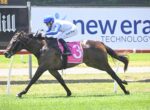 Jockey in blue and white silks rides a dark horse with a pink saddlecloth number 3 on a racetrack edge