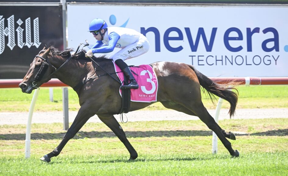 Jockey in blue and white silks rides a dark horse with a pink saddlecloth number 3 on a racetrack edge