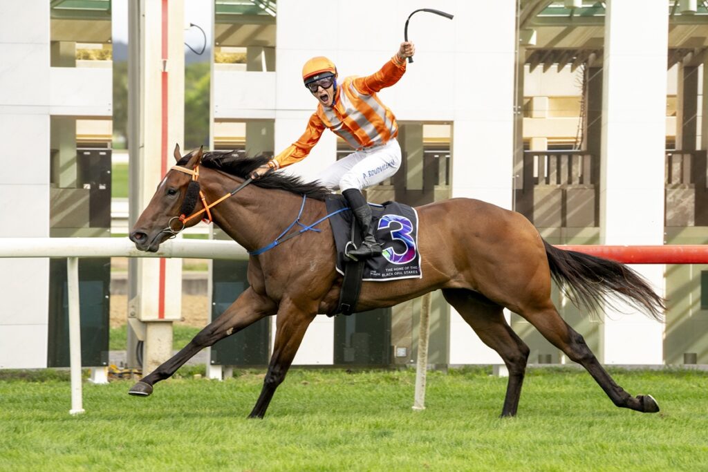 Jockey in orange-and-white silks rides a brown horse mid-race, holding a whip aloft as they gallop forward on a track.
