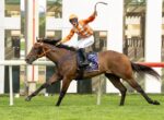 Jockey in orange-and-white silks rides a brown horse mid-race, holding a whip aloft as they gallop forward on a track.