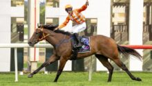Jockey in orange-and-white silks rides a brown horse mid-race, holding a whip aloft as they gallop forward on a track.
