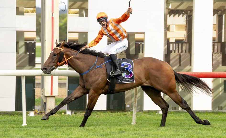 Jockey in orange-and-white silks rides a brown horse mid-race, holding a whip aloft as they gallop forward on a track.