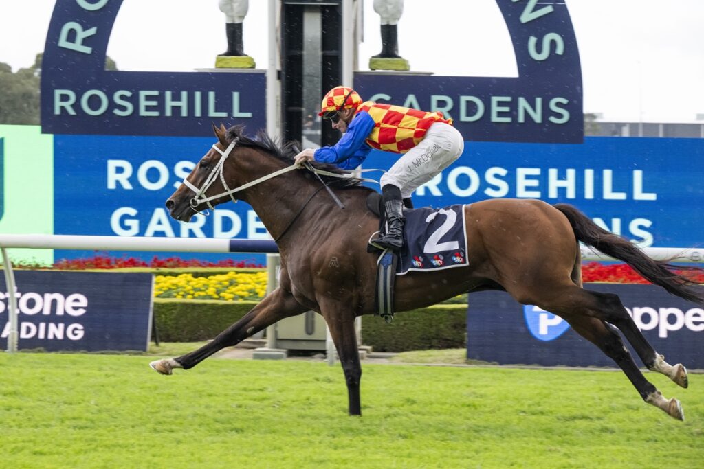 Jockey in red-yellow checkered silks rides a galloping brown horse on a racecourse with a blue Rosehill Gardens sign in the background (number 2 saddle).