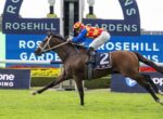 Jockey in red-yellow checkered silks rides a galloping brown horse on a racecourse with a blue Rosehill Gardens sign in the background (number 2 saddle).