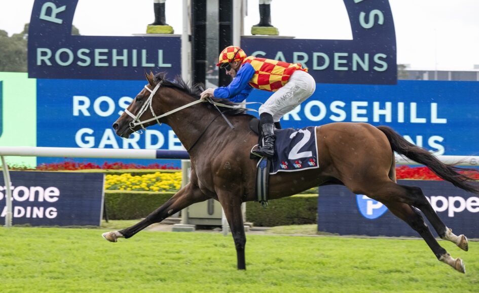 Jockey in red-yellow checkered silks rides a galloping brown horse on a racecourse with a blue Rosehill Gardens sign in the background (number 2 saddle).