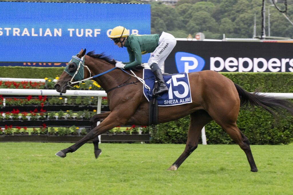 Jockey in green silks and yellow helmet rides a brown horse with blue number 15 saddle cloth on a turf racecourse near advertising boards.