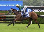 Jockey in green silks and yellow helmet rides a brown horse with blue number 15 saddle cloth on a turf racecourse near advertising boards.