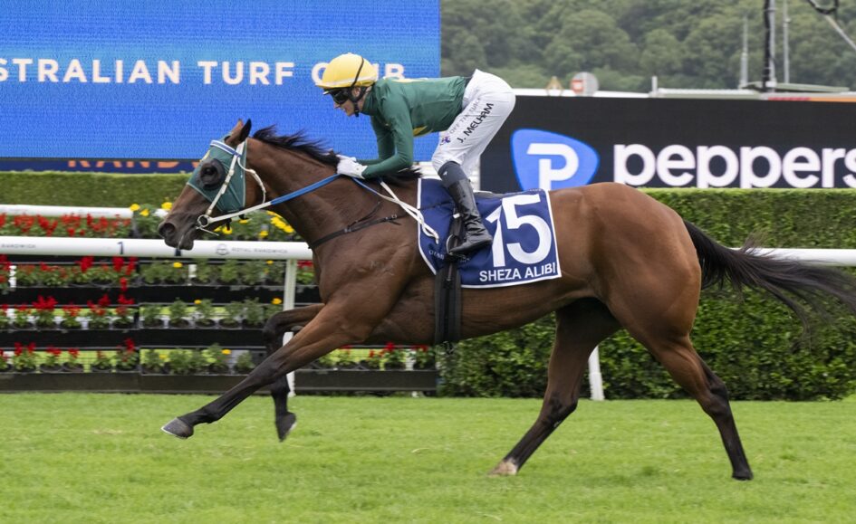 Jockey in green silks and yellow helmet rides a brown horse with blue number 15 saddle cloth on a turf racecourse near advertising boards.