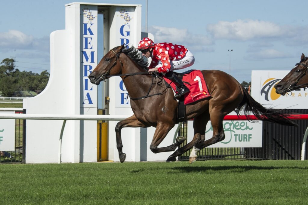 Jockey in red polka-dot silks riding a brown horse on a grassy racetrack.