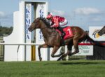 Jockey in red polka-dot silks riding a brown horse on a grassy racetrack.