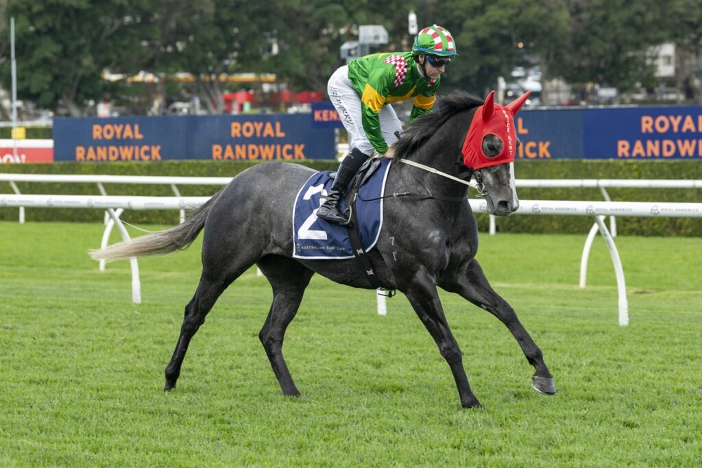 Jockey in green and yellow rides a grey horse with a red hood, racing on the grassy track at Royal Randwick.
