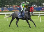 Jockey in green and yellow rides a grey horse with a red hood, racing on the grassy track at Royal Randwick.