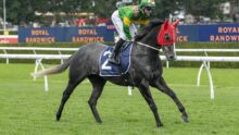 Jockey in green and yellow rides a grey horse with a red hood, racing on the grassy track at Royal Randwick.