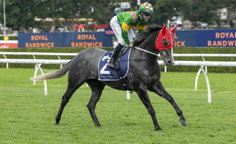 Jockey in green and yellow rides a grey horse with a red hood, racing on the grassy track at Royal Randwick.