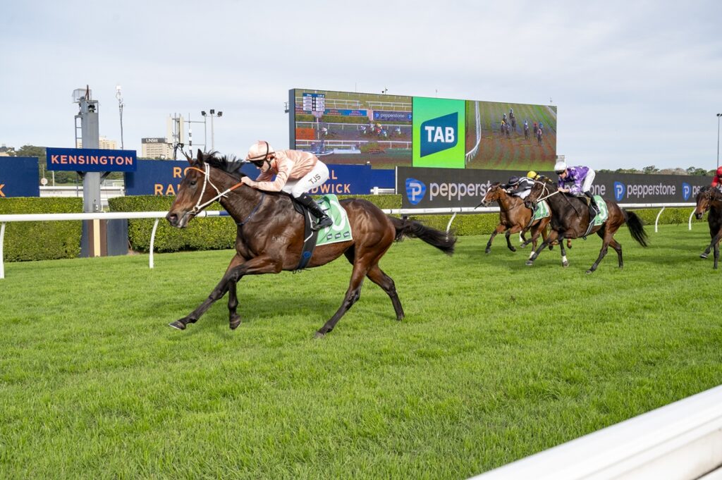 Leading brown racehorse with a peach-sleeved jockey charging on a green turf track; large scoreboard behind. (Kensington signage visible)