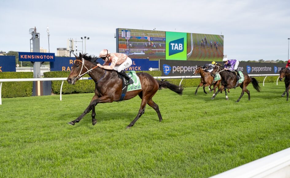 Leading brown racehorse with a peach-sleeved jockey charging on a green turf track; large scoreboard behind. (Kensington signage visible)