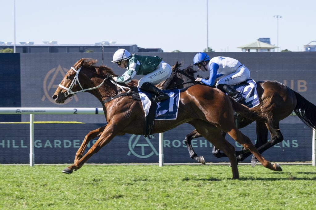 Two jockeys on thoroughbreds race neck-and-neck on a grass track